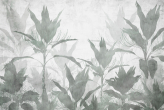 Фотообои Тропические листья и деревья на гранж стене в интерьере. Вариант 