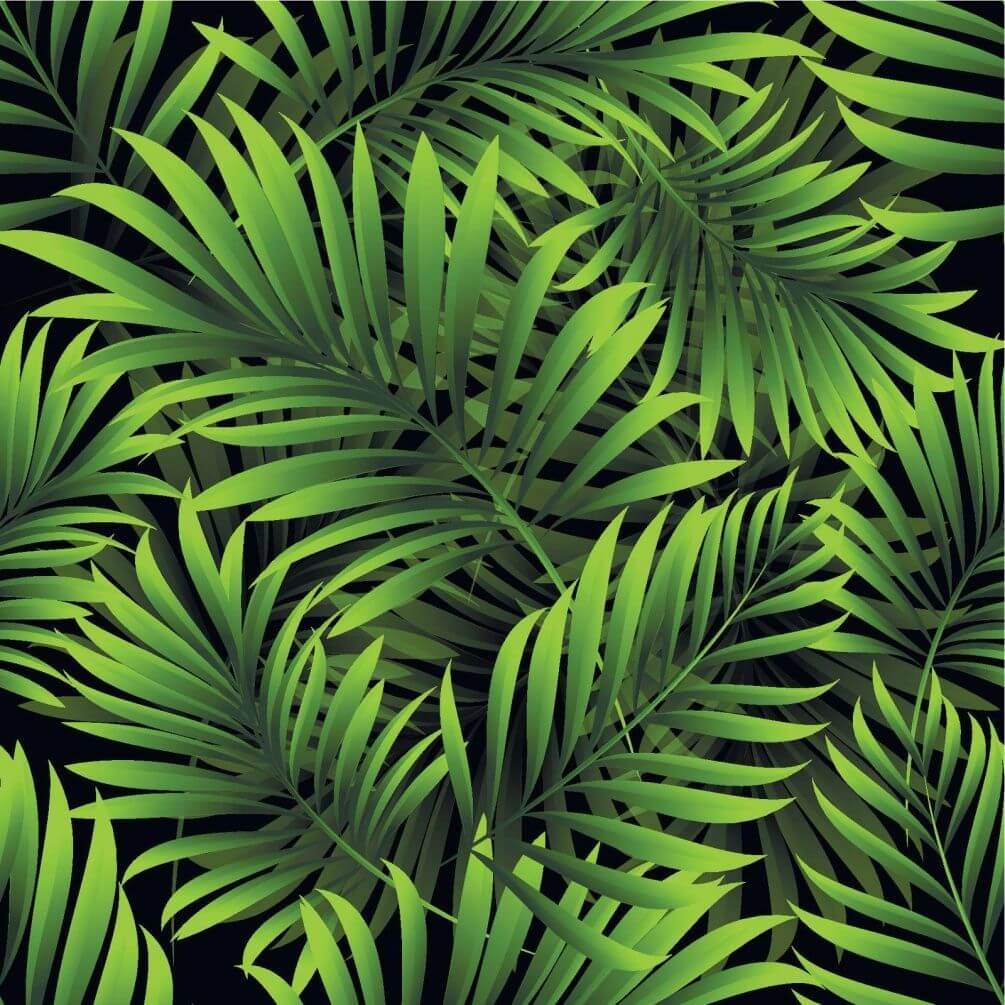 Фотошпалери пальмове листя