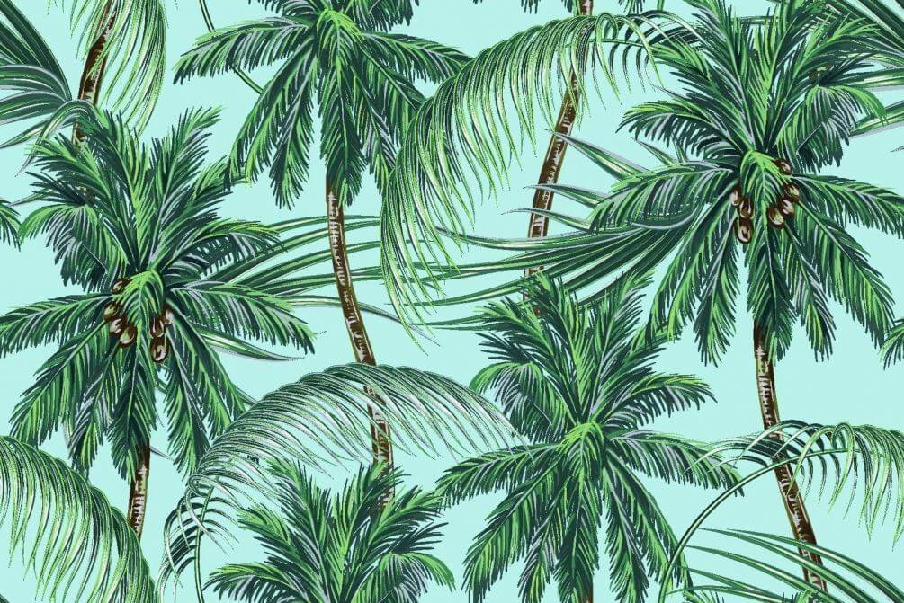 Фотообои Нарисованные пальмы