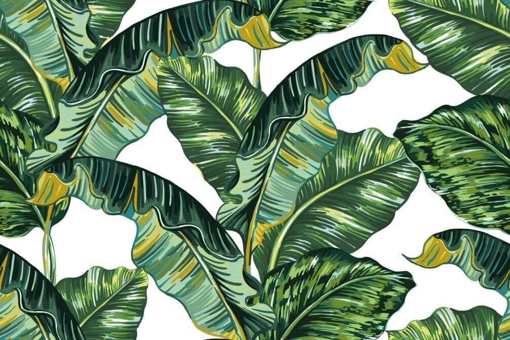 Фотообои Тропические банановые листья
