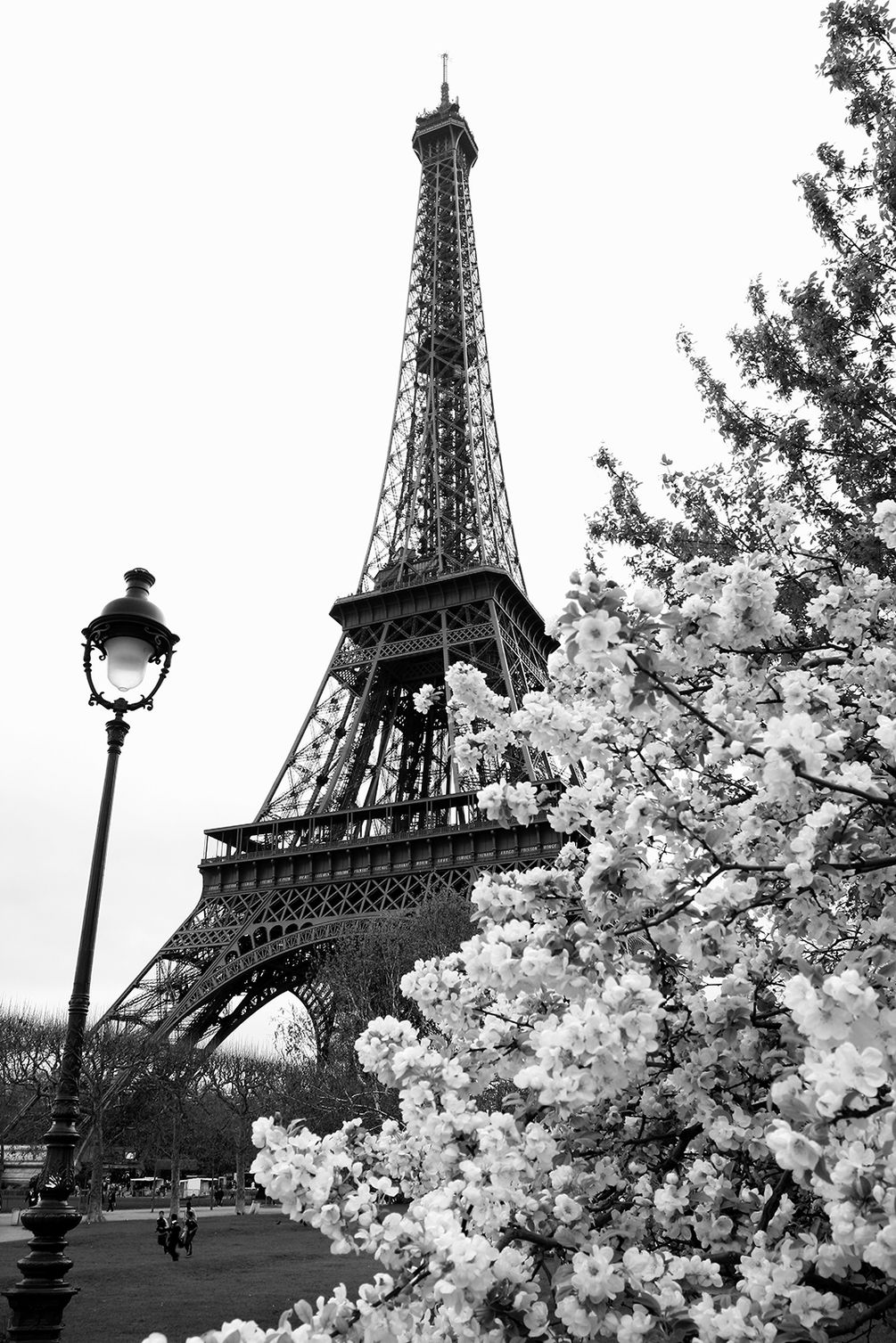 Фотообои Эйфелева башня в Париже, Франция