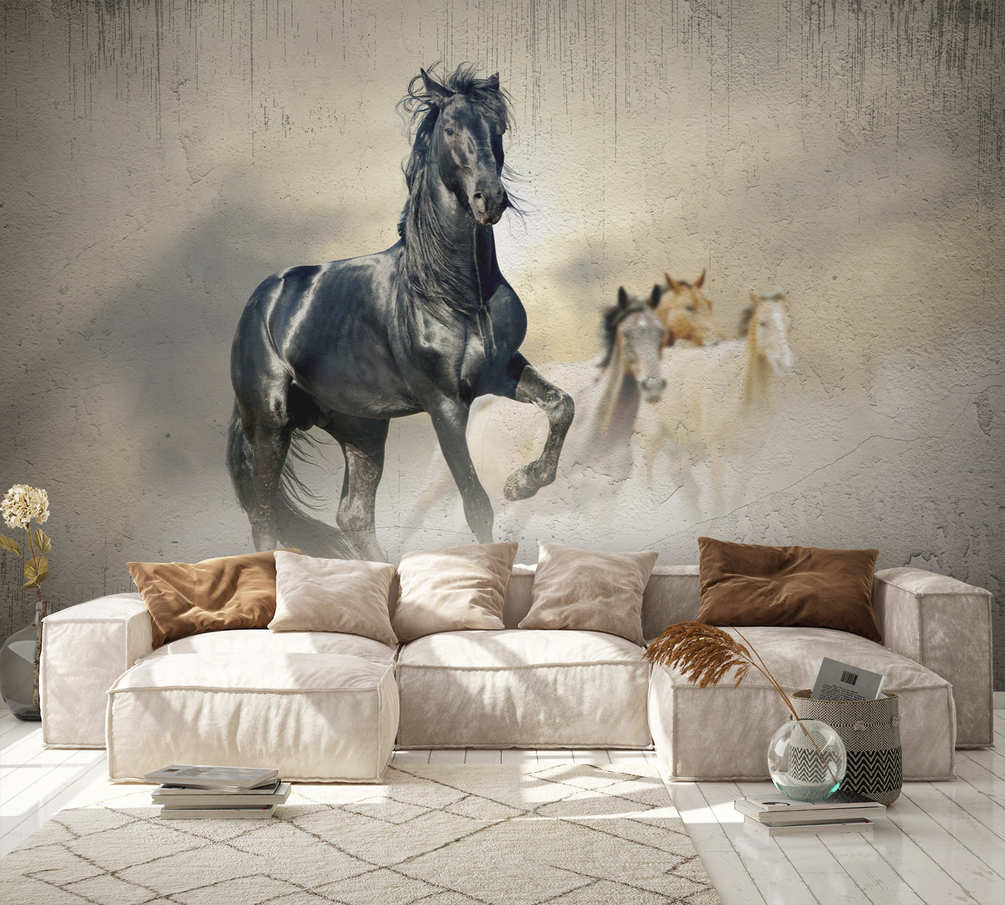 Фотошпалери кінь, фоторамка та диван