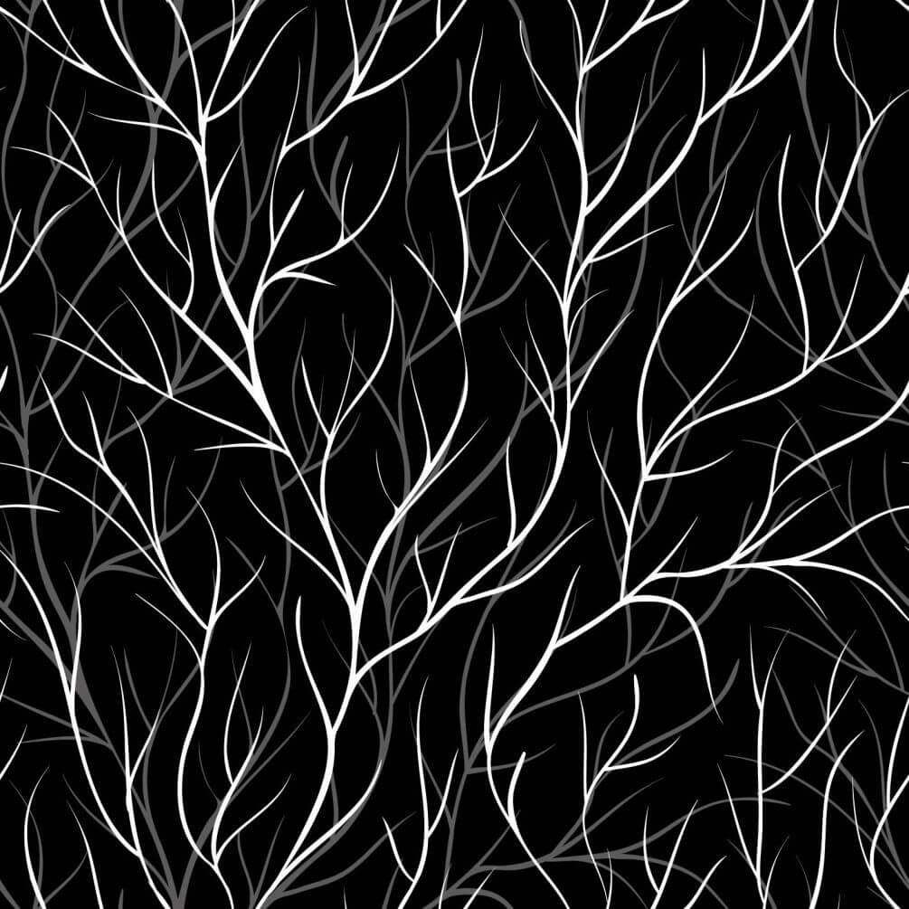Фотошпалери Білі дерева на чорному тлі