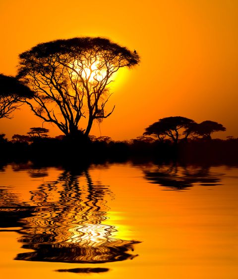 закат солнце оранжевое небо деревья водоем озеро река