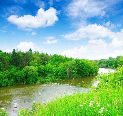 природний ландшафт зелений природи рослинність небо водних ресурсів води природнє середовище луг річ