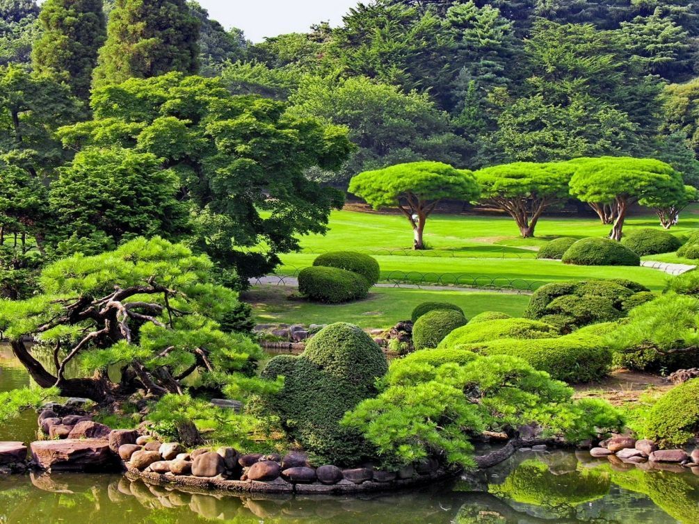 Фотошпалери Японський сад