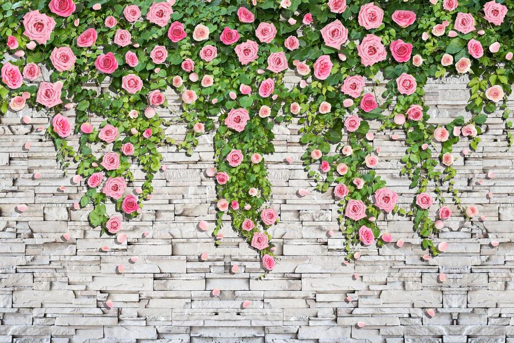 Фотообои Вьющиеся розы
