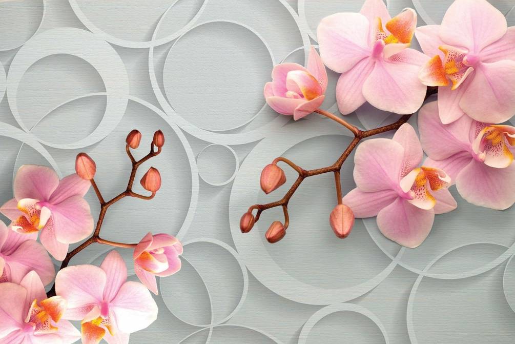 Фотообои 3D орхидеи