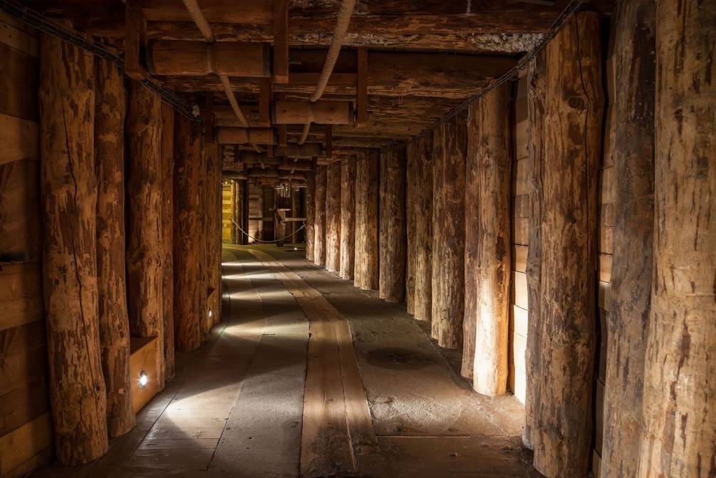 Фотошпалери дерев'яний тунель