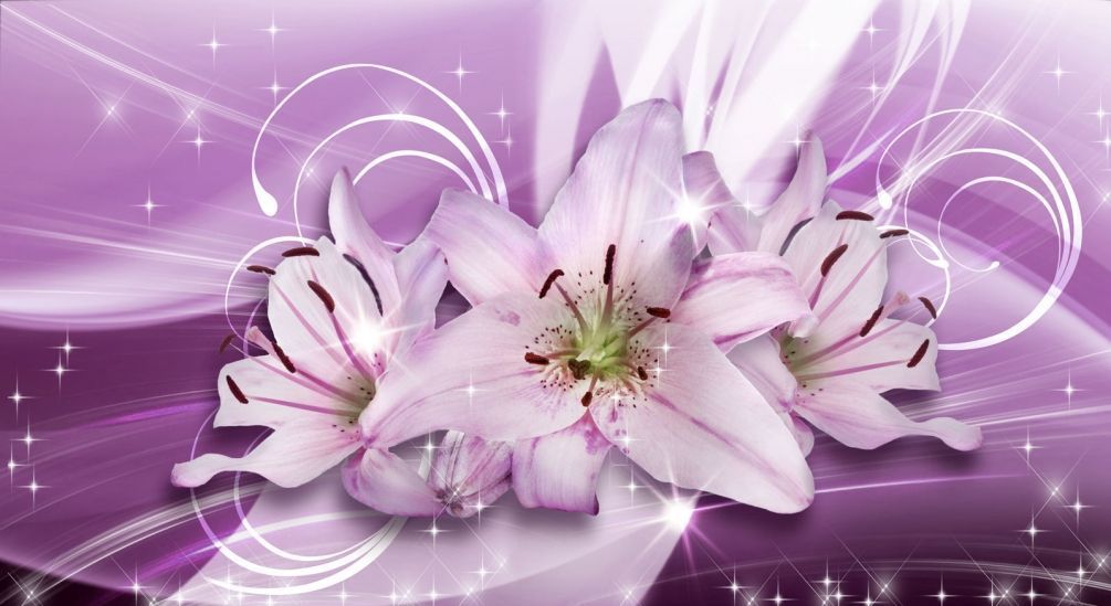 Фотообои Фиолетовые лилии