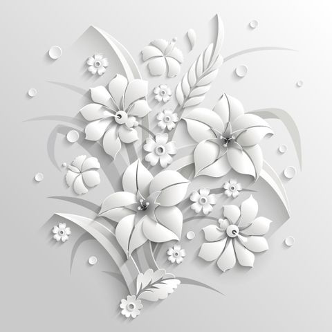 пелюстка квітка Рослина ілюстрації чорний і білий плодоніжка дика квітка фотографія натюрмортів цвіт