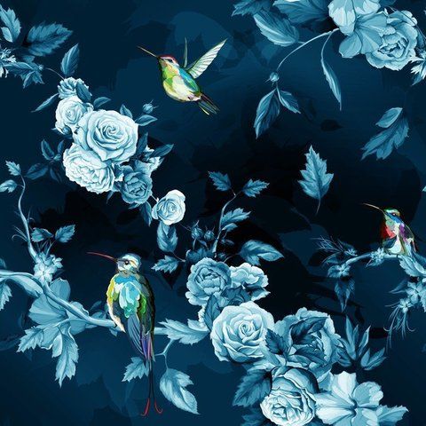 куст цветок шиповник птица терновник синева вечер ночь